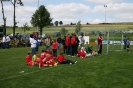 SSV Gartenfest 2013_12